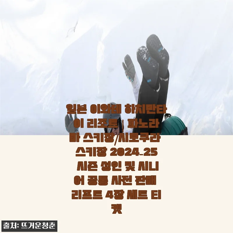 일본 이와테 하치만타이 리조트 리프트 티켓 사용후기: 겨울 여행 필수 아이템