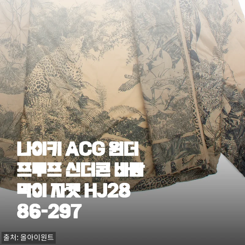 나이키 ACG 윈더프루프 신더콘 바람막이 자켓 HJ2886-297 사용후기