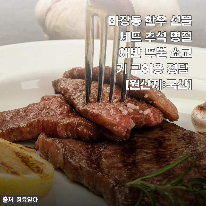 마장동 한우 선물 세트 정담, 직접 사용해 본 후기와 추천