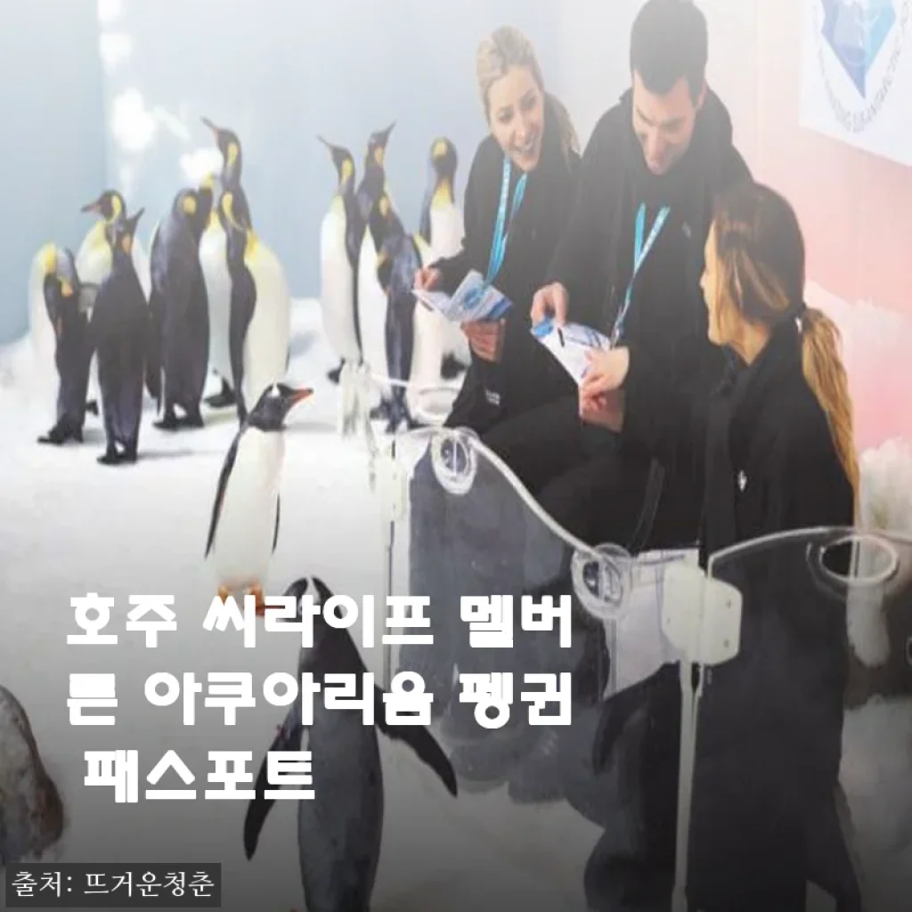 호주 씨라이프 멜버른 아쿠아리움 펭귄 패스포트 사용후기와 추천
