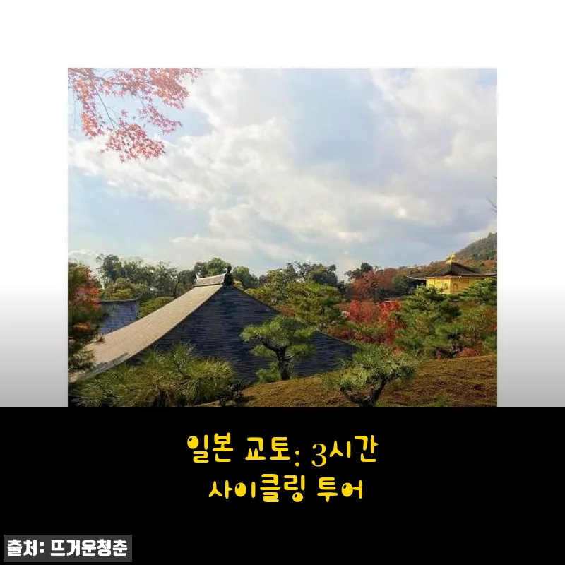 일본 교토: 3시간 사이클링 투어 체험 후기 및 상세 소개
