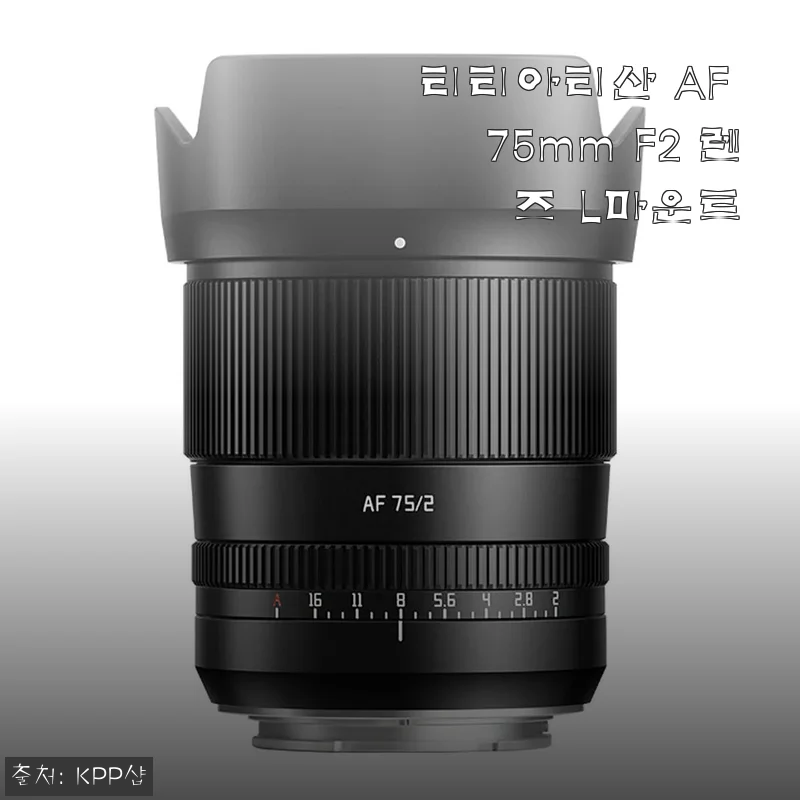 티티아티산 AF 75mm F2 렌즈 L마운트 사용후기와 솔직한 리뷰