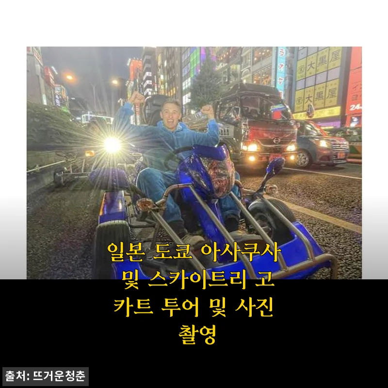 일본 도쿄 아사쿠사 및 스카이트리 고카트 투어 사용후기
