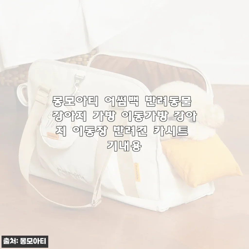 몽모아티 어썸백 강아지 가방, 직접 사용해 본 솔직한 후기