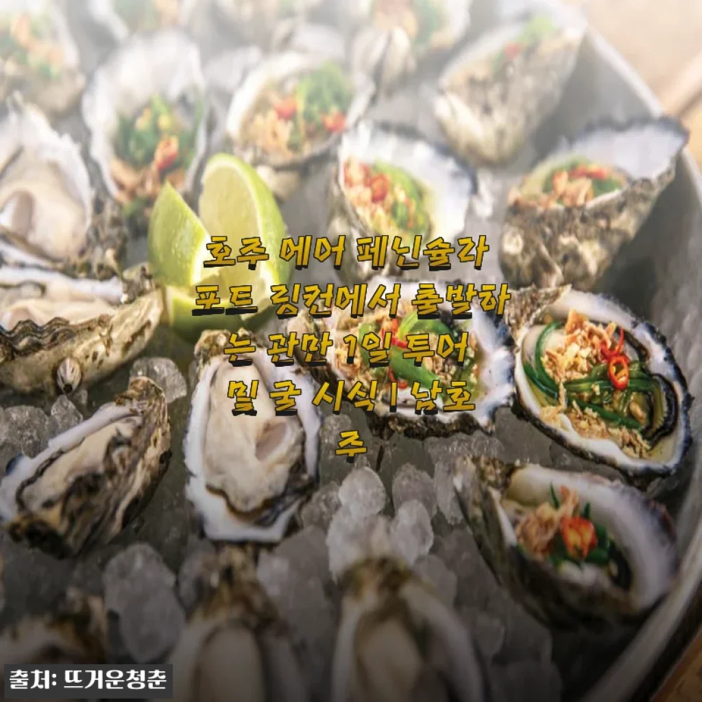 호주 에어 페닌슐라 포트 링컨 1일 투어 및 굴 시식 후기