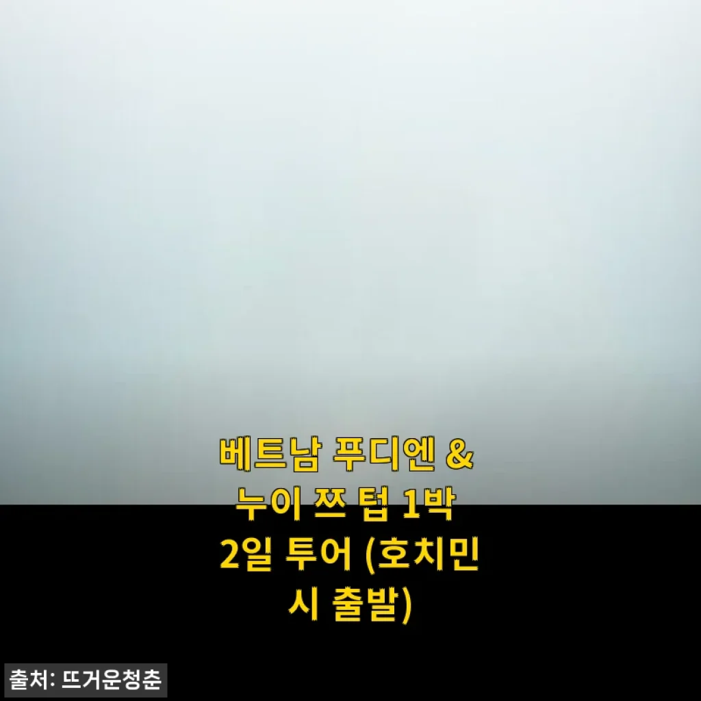 베트남 푸디엔 & 누이 쯔 텁 1박 2일 투어 후기 및 상세 소개