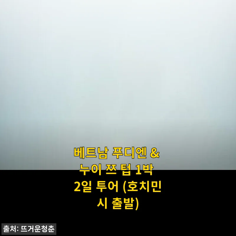 베트남 푸디엔 & 누이 쯔 텁 1박 2일 투어 후기 및 상세 소개