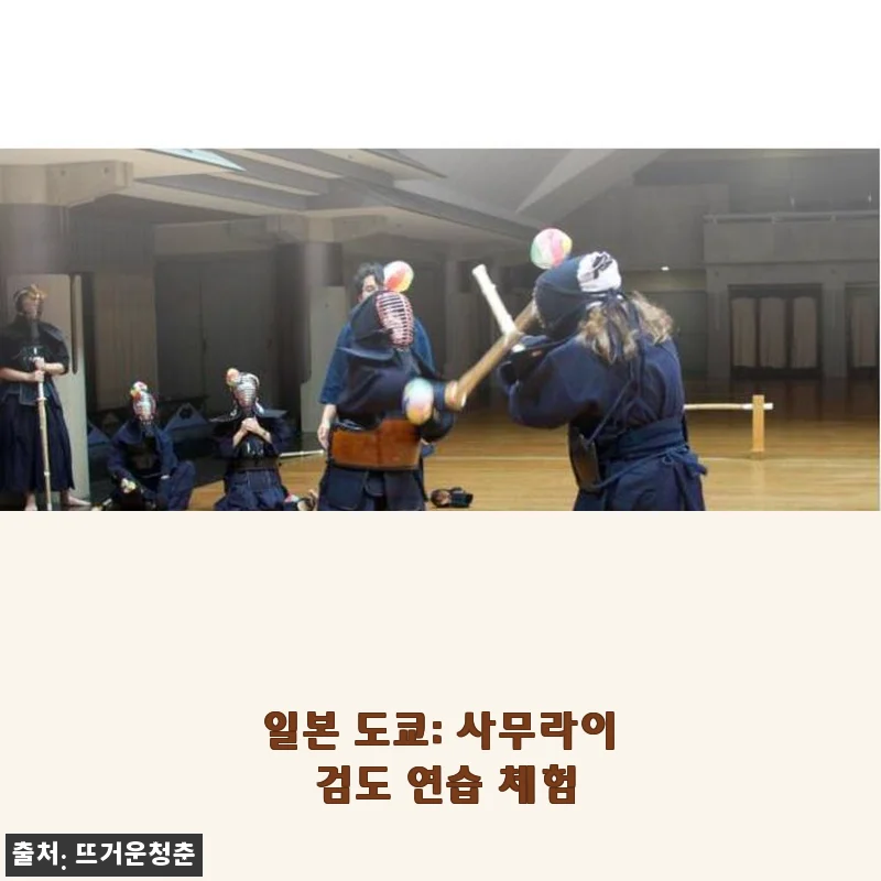 일본 도쿄 사무라이 검도 연습 체험 사용 후기
