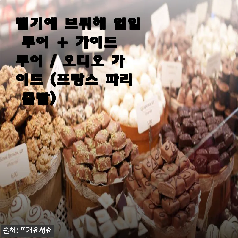 벨기에 브뤼헤 일일 투어 + 가이드 투어 사용후기: 파리에서 떠나는 특별한 여행 경험