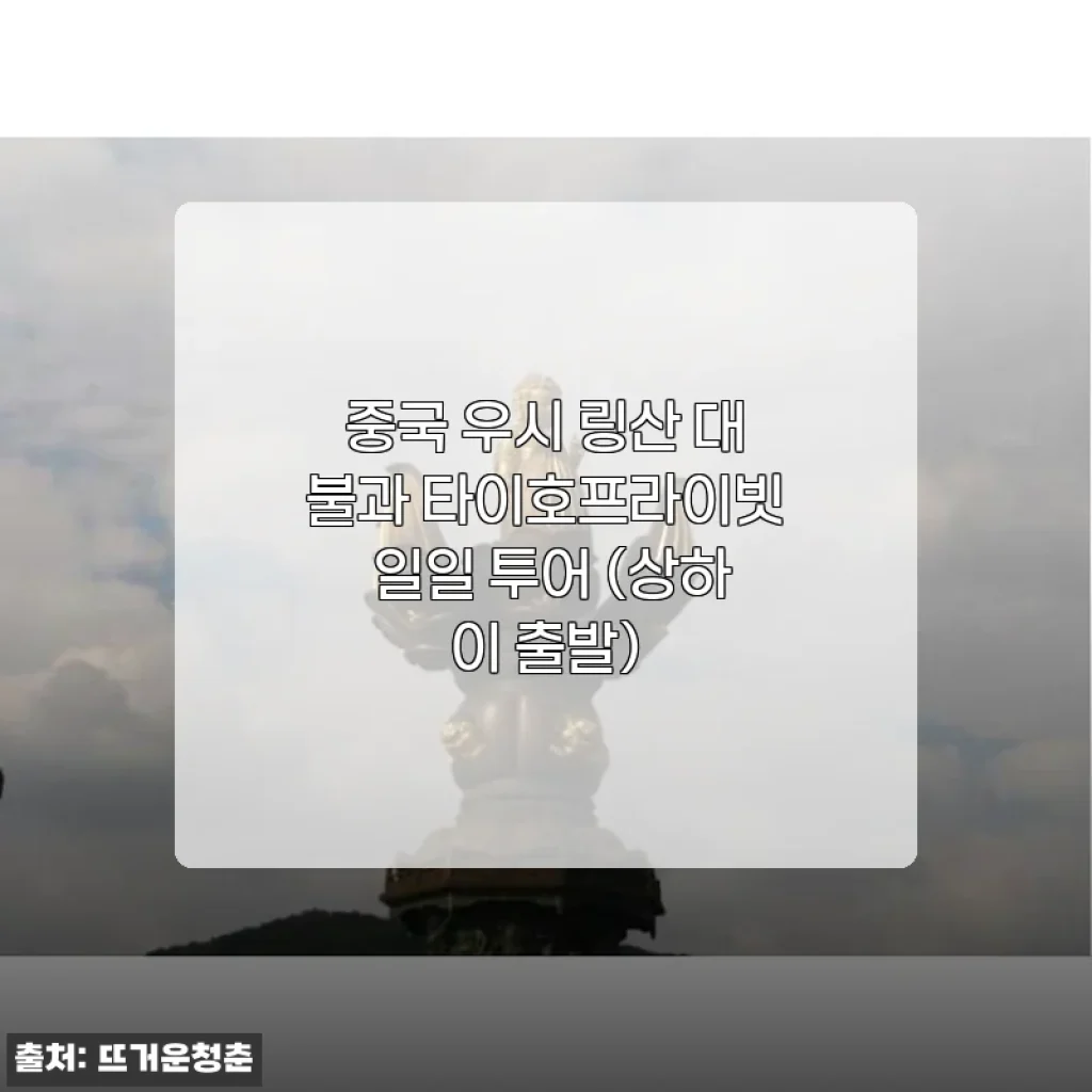 중국 우시 링산 대불과 타이호프라이빗 일일 투어 체험 후기