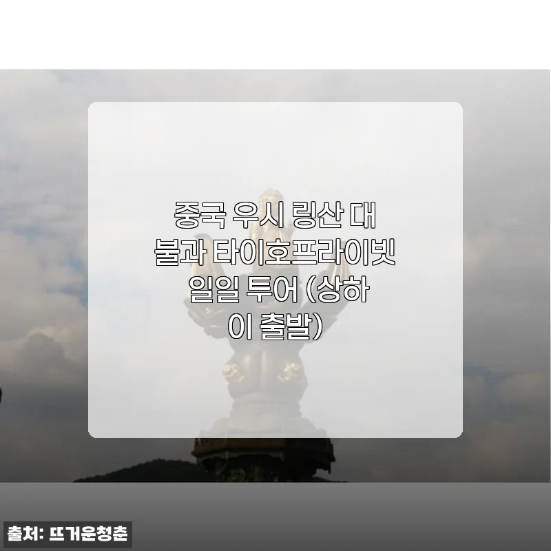 중국 우시 링산 대불과 타이호프라이빗 일일 투어 체험 후기