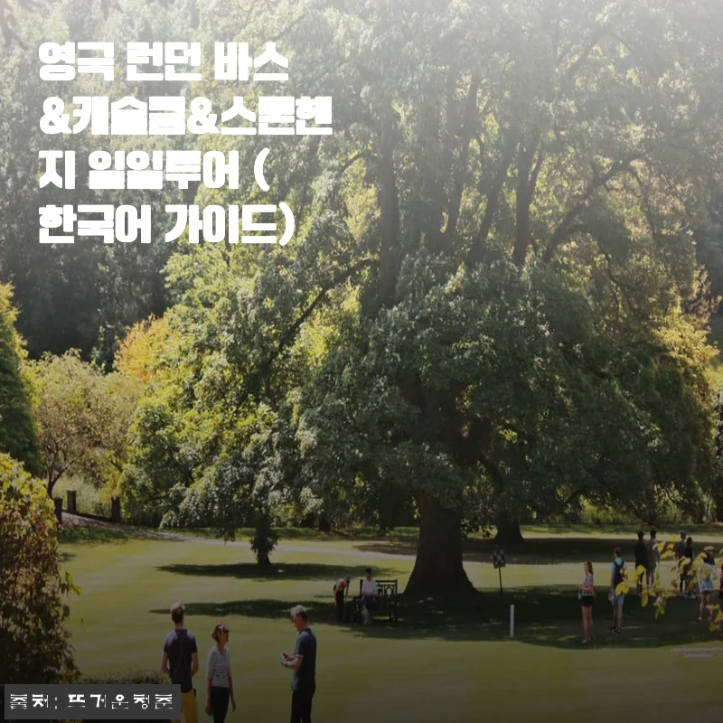 영국 런던 바스&캐슬쿰&스톤헨지 일일투어 한국어 가이드와 함께한 경험