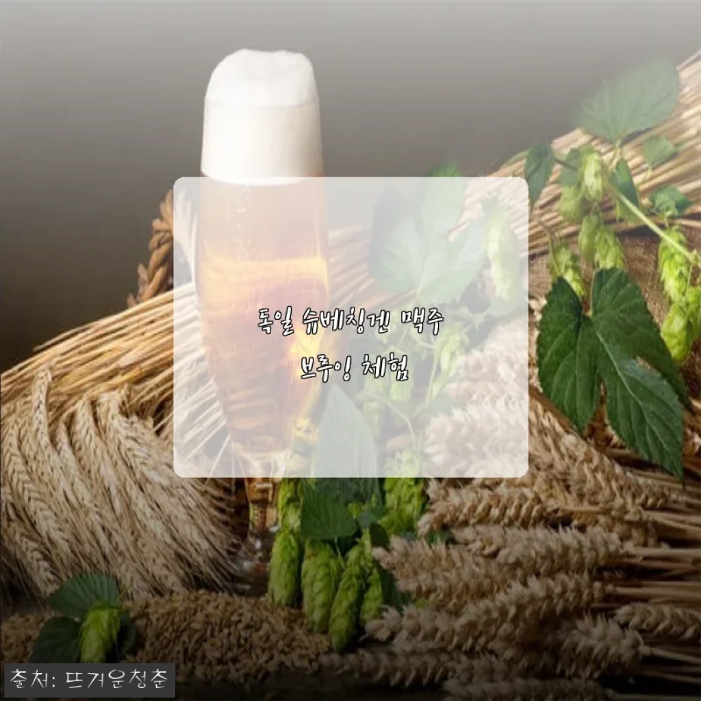 독일 슈베칭겐 맥주 브루잉 체험, 직접 참여해보니 특별한 경험이었어요