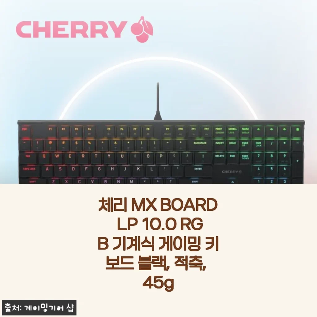체리 MX BOARD LP 10.0 RGB 적축 기계식 키보드 사용 후기