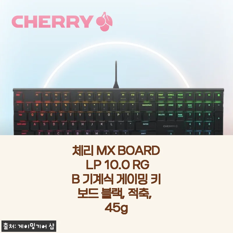 체리 MX BOARD LP 10.0 RGB 적축 기계식 키보드 사용 후기