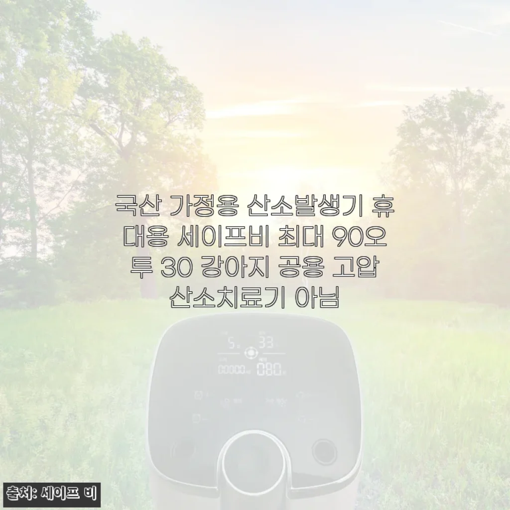 국산 가정용 산소발생기 세이프비 최대 90오투 사용후기와 제품 소개