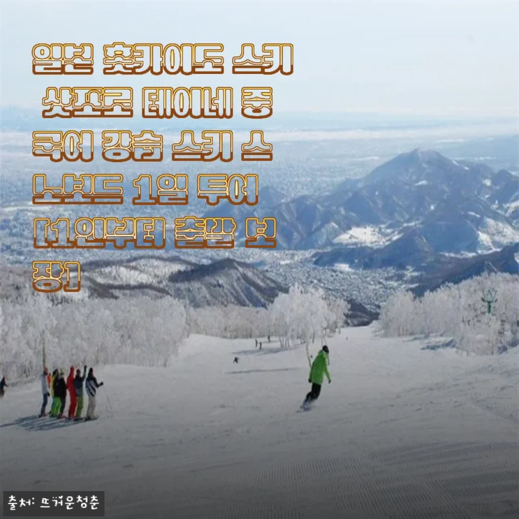 일본 홋카이도 삿포로 테이네 스키·스노보드 1일 투어 사용후기