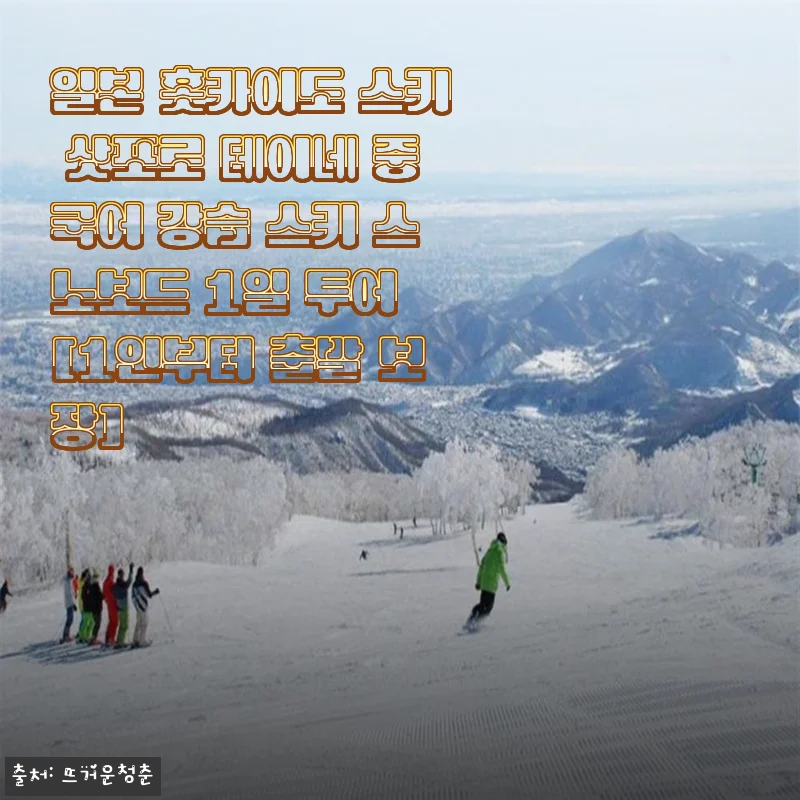 일본 홋카이도 삿포로 테이네 스키·스노보드 1일 투어 사용후기