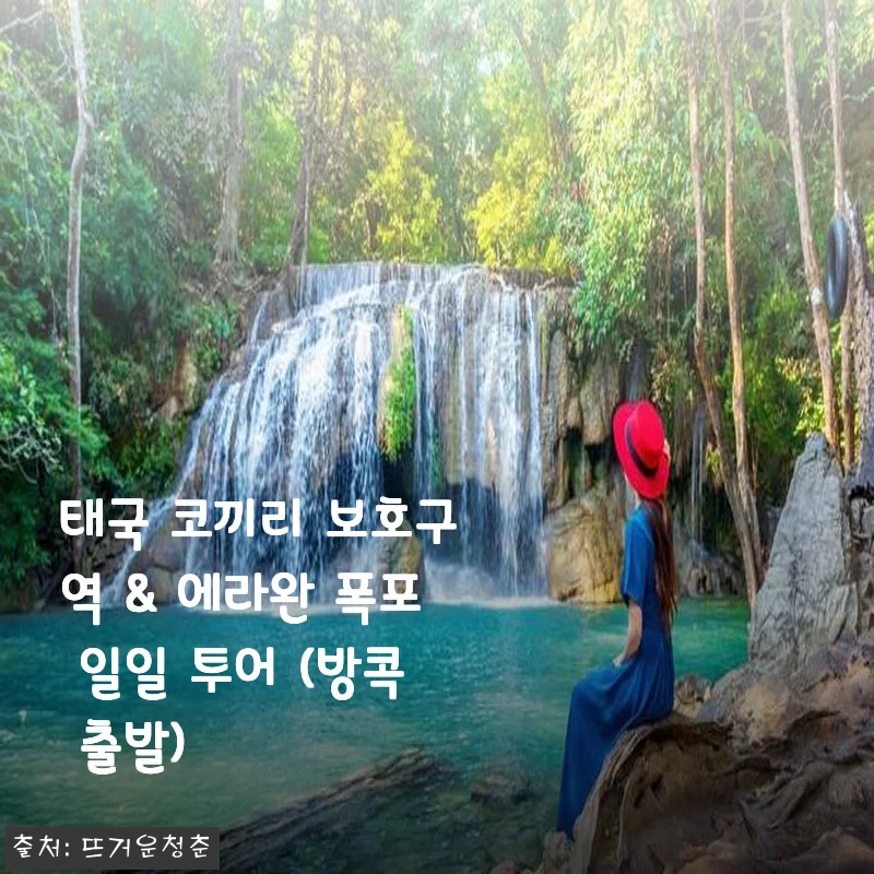 태국 코끼리 보호구역 & 에라완 폭포 일일 투어 사용 후기 및 상세 소개