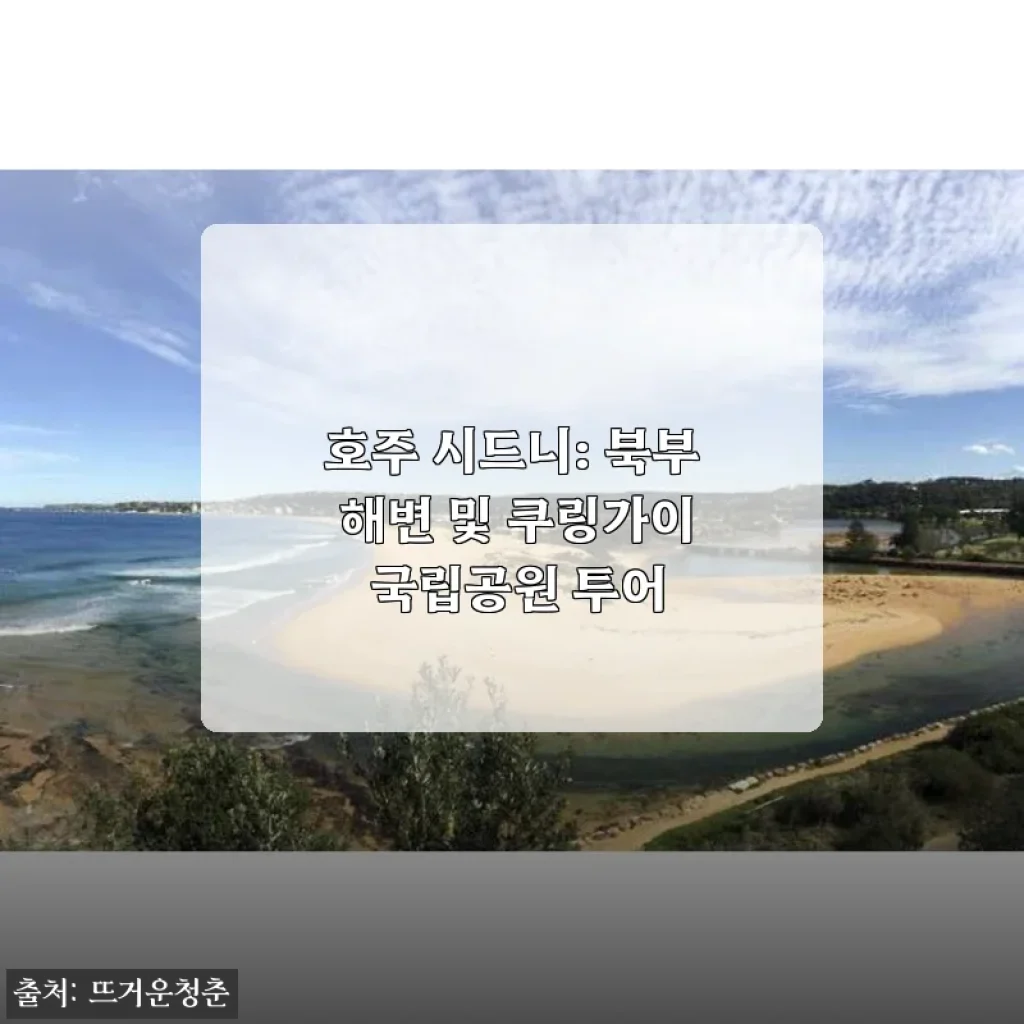 호주 시드니 북부 해변 및 쿠링가이 국립공원 투어 사용후기