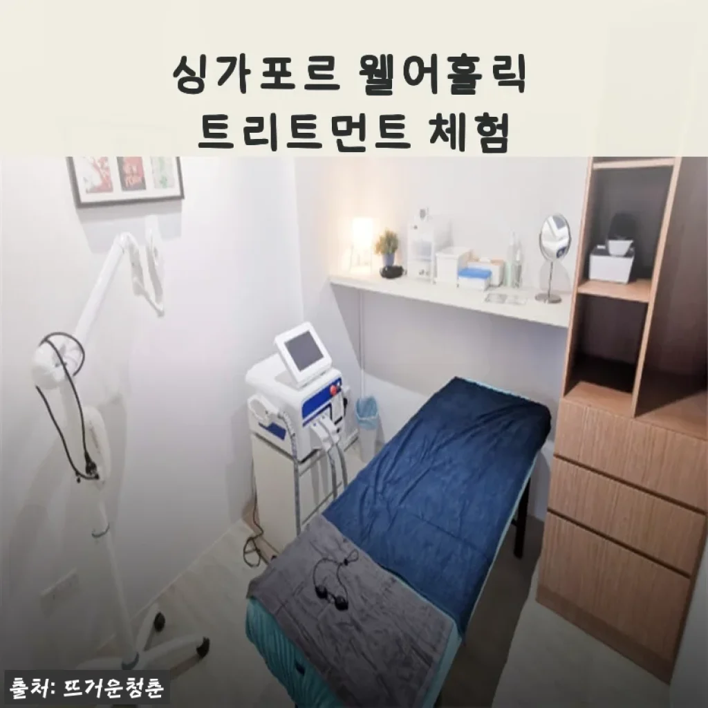 싱가포르 웰어홀릭 트리트먼트 체험 사용후기: 집에서 누리는 고급 스파 경험