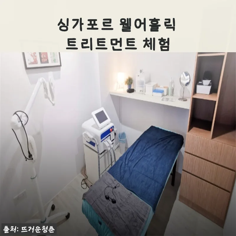 싱가포르 웰어홀릭 트리트먼트 체험 사용후기: 집에서 누리는 고급 스파 경험