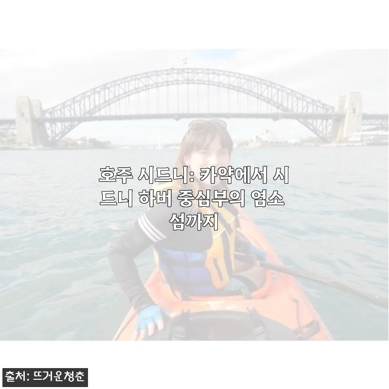 호주 시드니 카약 투어, 염소 섬까지 직접 체험 후기
