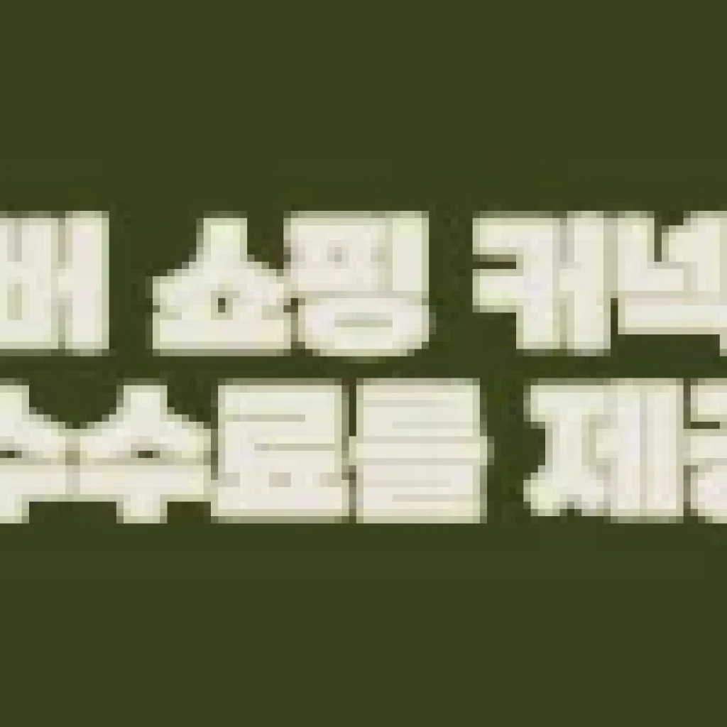 크로마 하네스 소형견 중형견 리드줄 세트 사용 후기