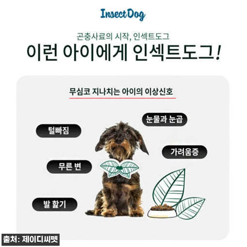인섹트도그 하이포알러지 저단백 저지방 관련 이미지 1