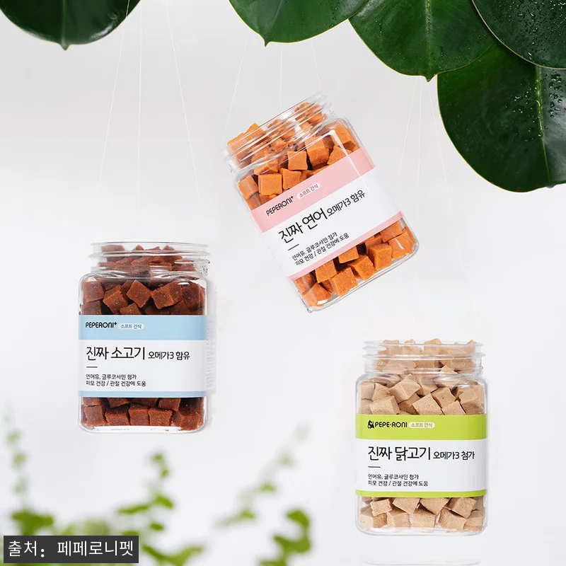 우리집 노견도 픽한 부드러운 강아지간 관련 이미지 1