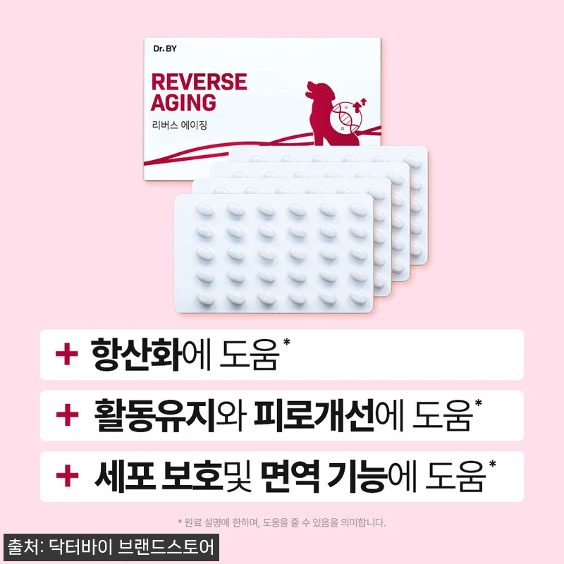 노견의 기운을 되찾아준 닥터바이 리버 관련 이미지 1