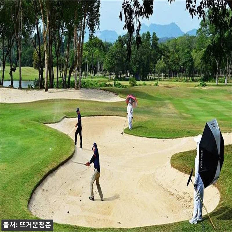 3월 푸켓여행 가성비 끝판왕 블루캐니 관련 이미지 2