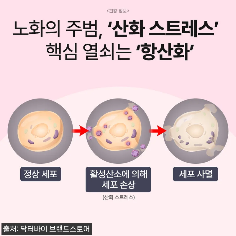 노견의 기운을 되찾아준 닥터바이 리버 관련 이미지 5