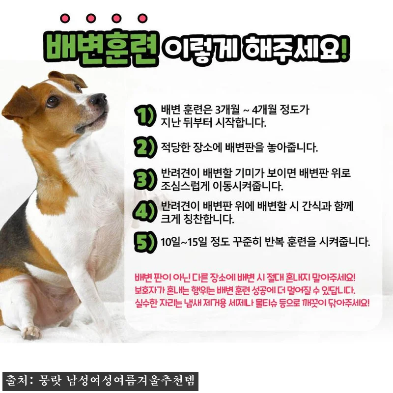 강아지 배변판 미끄럼 방지 배변 받침대 강아지 패드판 13 강아지 배변판 미끄럼 방지 배변 받침 관련 이미지 5