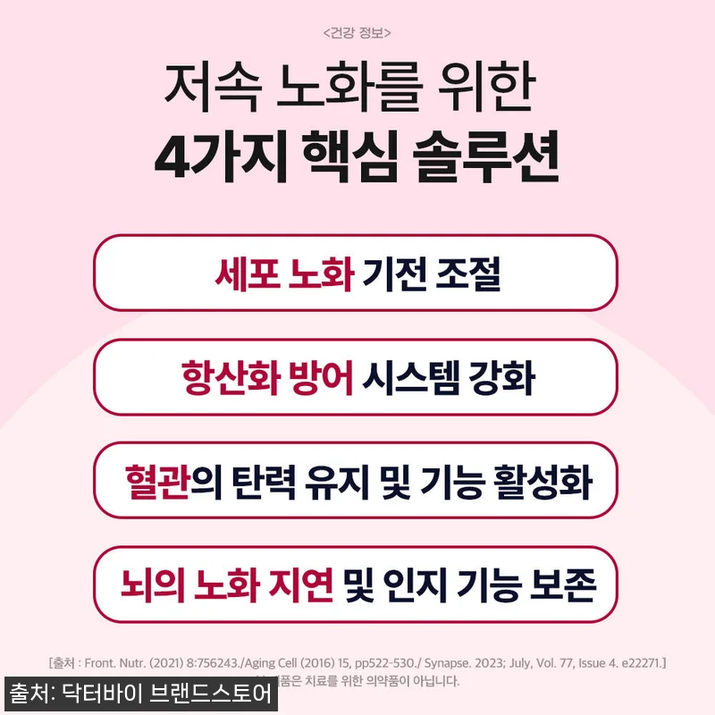 노견의 기운을 되찾아준 닥터바이 리버 관련 이미지 6