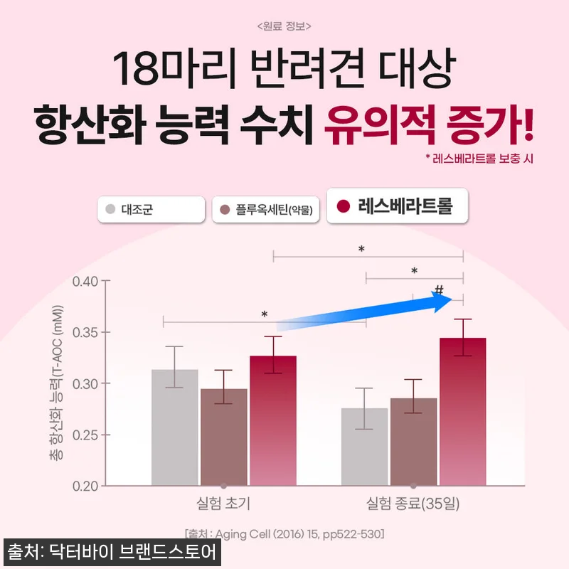 노견의 기운을 되찾아준 닥터바이 리버 관련 이미지 7
