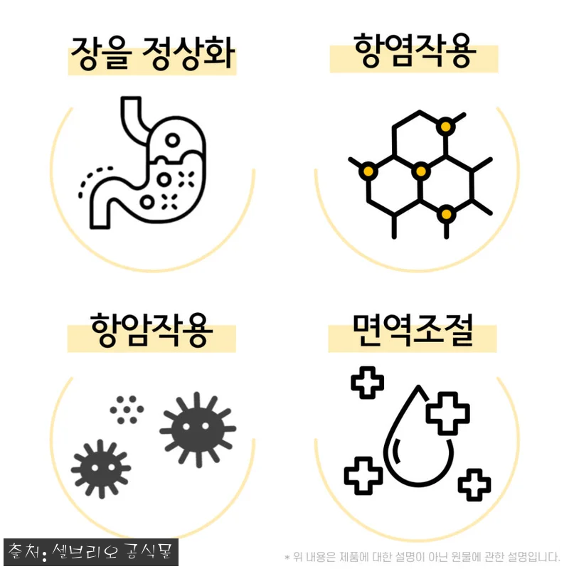 장 건강 고민 많던 내가 5세대 사균 관련 이미지 8