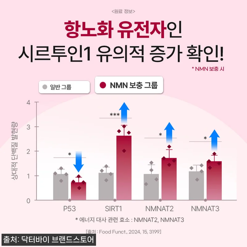 노견의 기운을 되찾아준 닥터바이 리버 관련 이미지 8