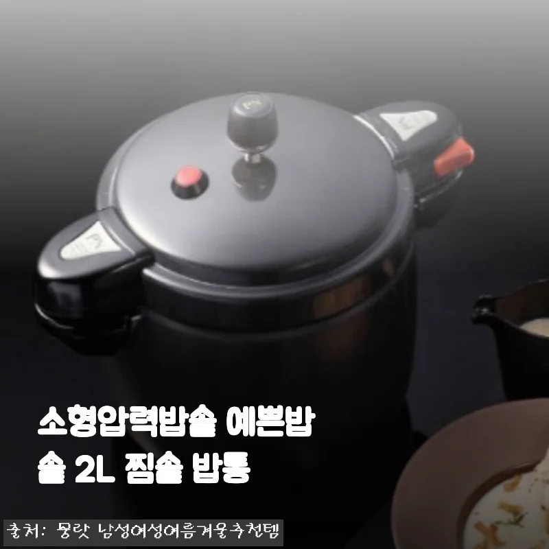 소형압력밥솥 예쁜밥솥 2L 찜솥 밥통, 나만의 맞춤 밥솥으로 3주 생활기