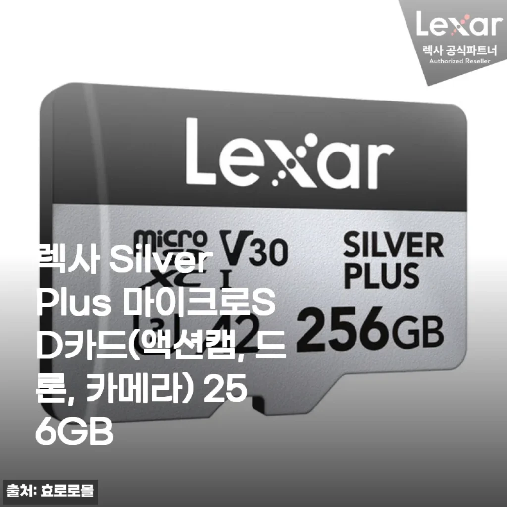 드론 촬영 마니아의 렉사 Silver Plus 마이크로SD 256GB 진심 사용기