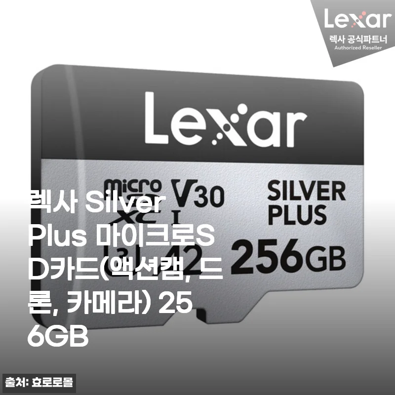 드론 촬영 마니아의 렉사 Silver Plus 마이크로SD 256GB 진심 사용기