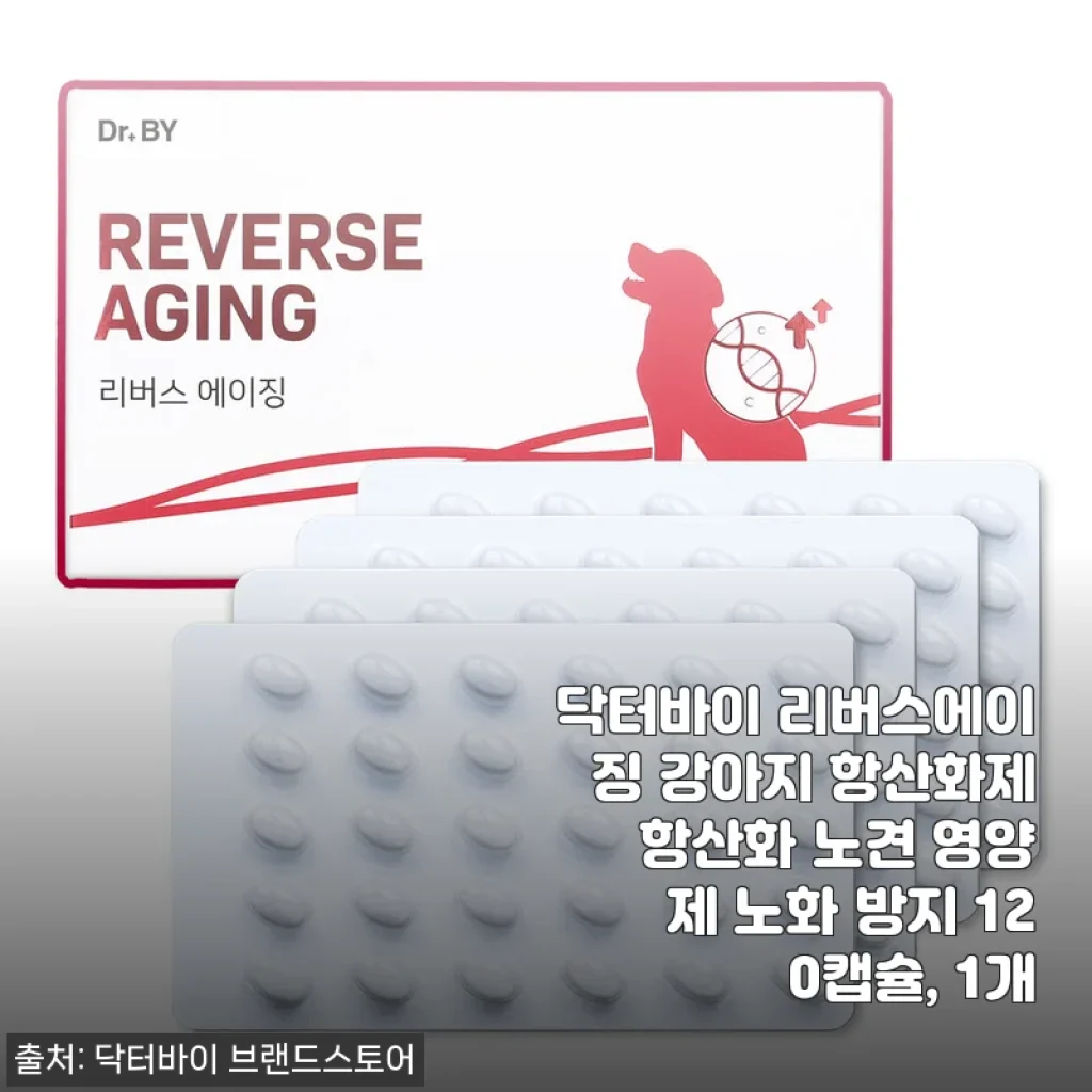 노견의 기운을 되찾아준 닥터바이 리버스에이징, 항산화제 4개월째 솔직한 기록