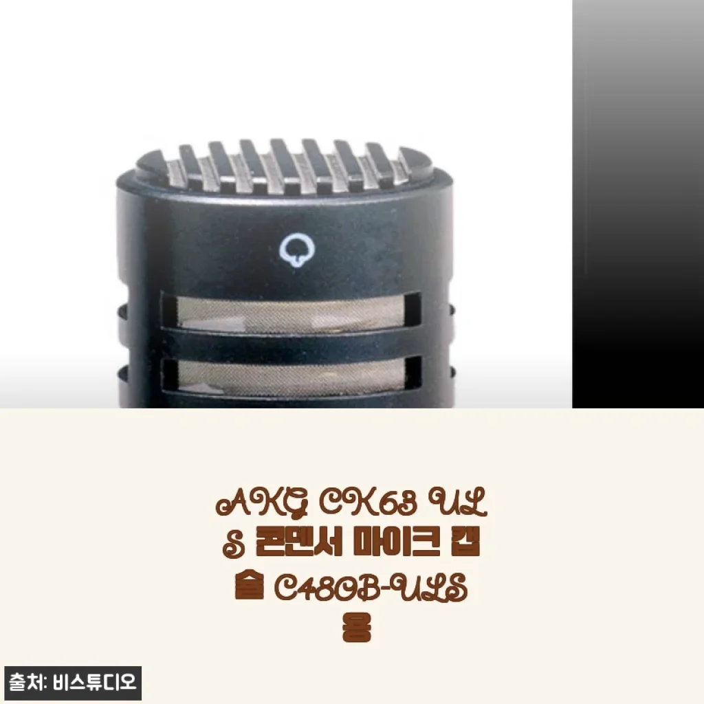 AKG CK63 ULS 콘덴서 마이크 캡슐, C480B와 함께 사용해 본 솔직 후기