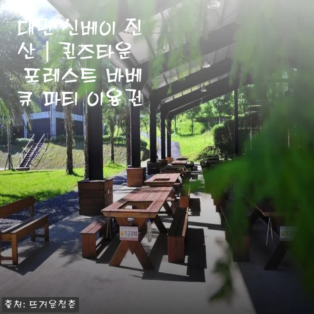 대만 신베이 진산 퀸즈타운 포레스트 바베큐 파티 이용권 사용후기 (87% 할인 받은 방법)