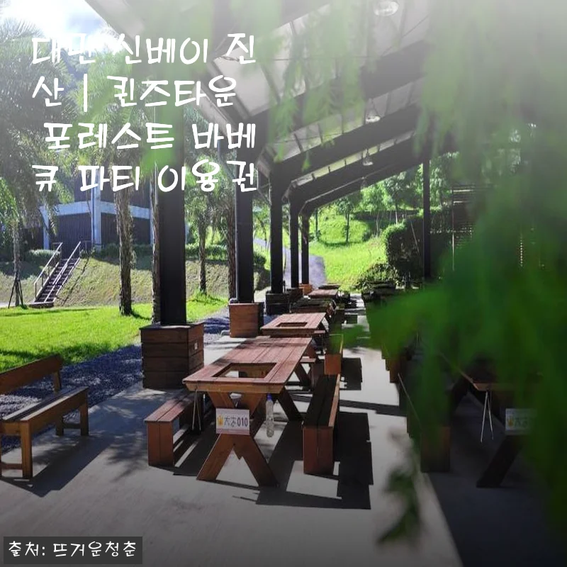 대만 신베이 진산 퀸즈타운 포레스트 바베큐 파티 이용권 사용후기 (87% 할인 받은 방법)