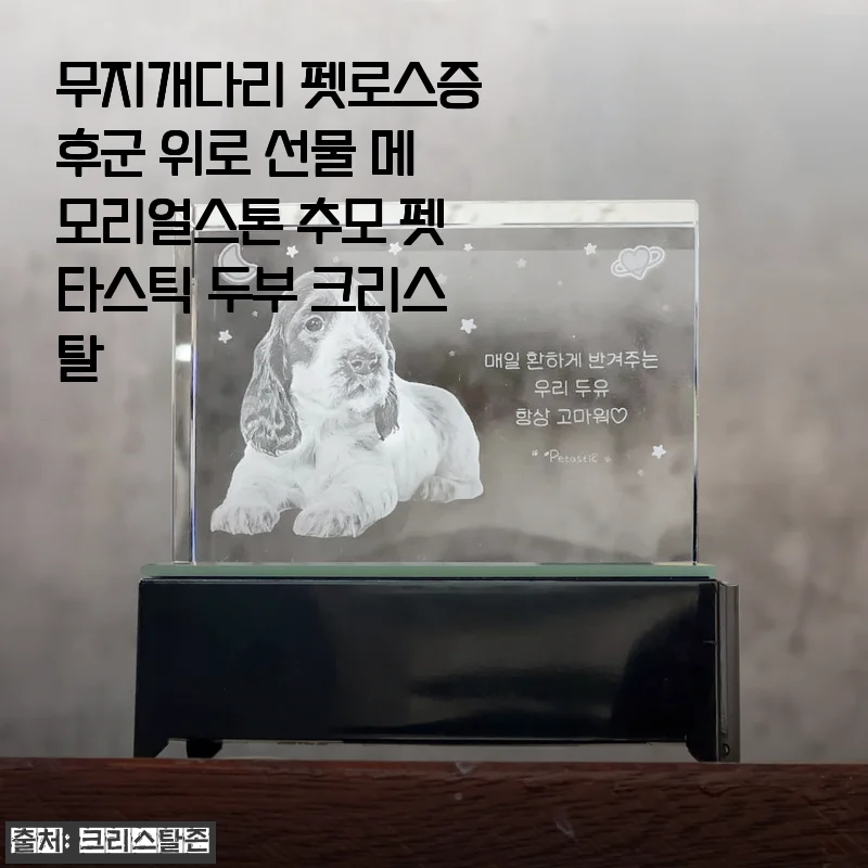 반려동물 떠나보낸 마음에 위로가 필요할 때, 무지개다리 펫로스 증후군 메모리얼스톤 사용기