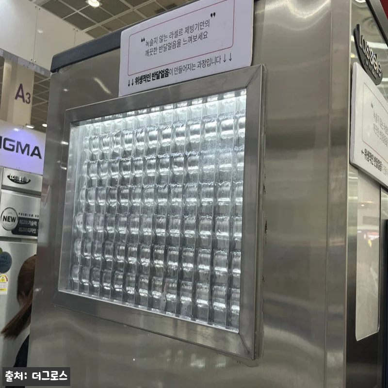 라셀르 LIM-255W 200KG 업 관련 이미지 6