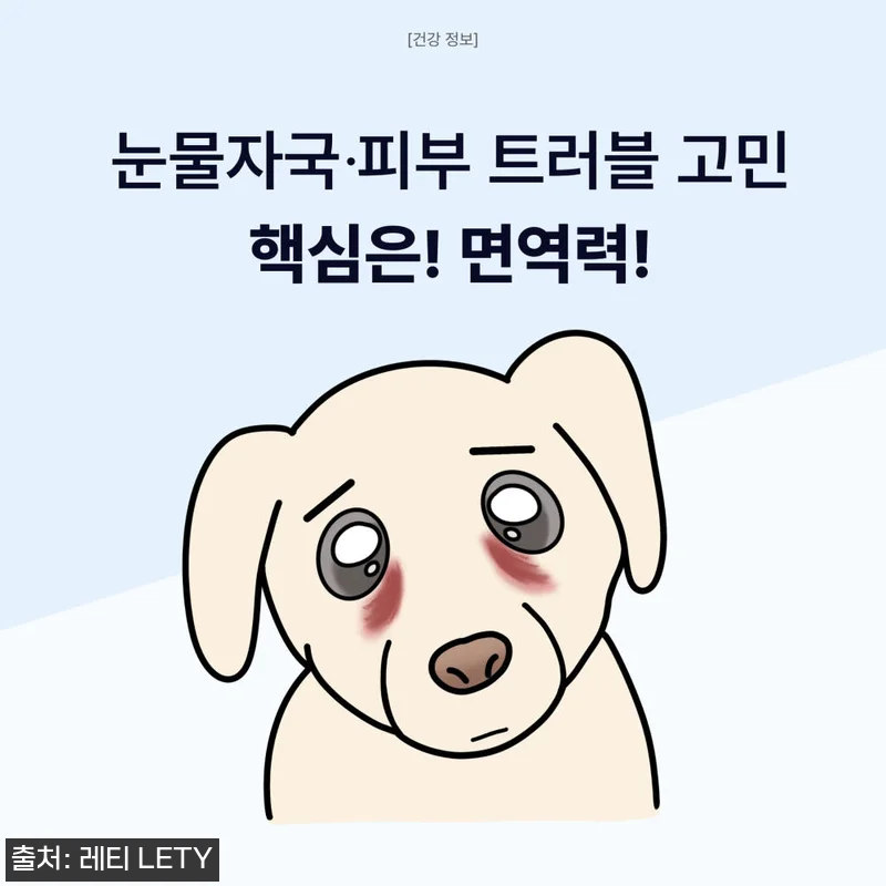 프리미엄 강아지 고양이 눈물자국 눈 관련 이미지 3