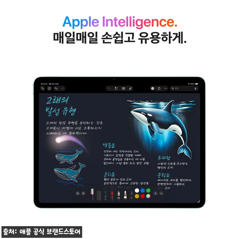 애플 아이패드 에어 13 M4 WiF 관련 이미지 4