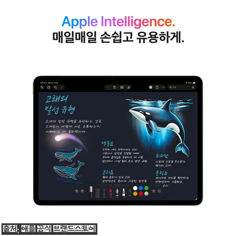 애플 아이패드 에어 11 M4 WiF 관련 이미지 4
